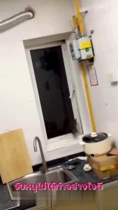 ยาเบื่อหนู 100% หนูจะตายนอกบ้าน สิบปี (หนูกินแล้วก็จะตาย)