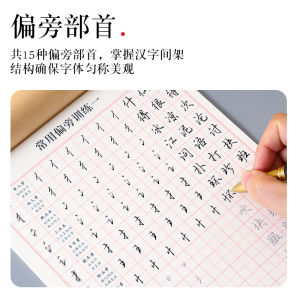 Beginner Calligraphy Practice Set Primary School Student Pen Control Training Writing Book Strokes Order Grid Radicals
