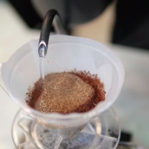 Wake Up Call! | Roasted Coffee Robusta & Arabica Blend | Primal Brew