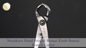 Wazakura Hand Forged Knob Bonsai Branch Cutter (210mm) MADE IN JAPAN New ErgonomicPrecision Cuts with Minimal DamageNew ErgonomicHandcrafted by Skilled Artisans bonsai cutter bonsai branch cutter bonsai toolsjapanese bonsai tools