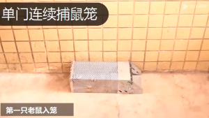 free bait  Enlarge the hole Stainless steel Mouse Trap Continuously catching cunning mice rat cage