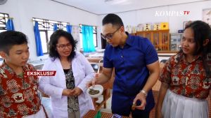 Kayu Bajakah Kalawit Asli Kalimantan 100 gram