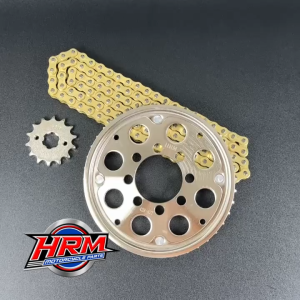 GEAR SET GIR SET RACING CS1 CITY SPORT 1 SONIC 125 42T SILVER GOLD