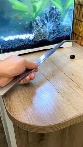 2Pcs Stainless Long tweezer for aquarium Aquatic plant tweezers Reptile Feeding tong tweezer for tarantula lizard