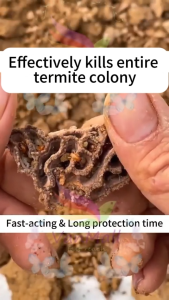 【Kill all termites and ants】Ant spray for gardens homes and indoors/Termite killer Termite/SPRAY KUTU SEMUT PEPIJAT LI