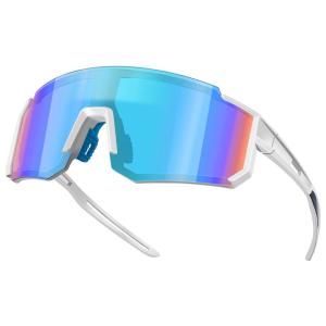 TOOKTRO | Polarized Photochromic Sand Wind Protection Goggles