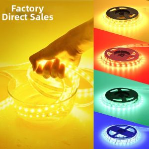 Low Voltage Super Bright Waterproof LED Strip 12V