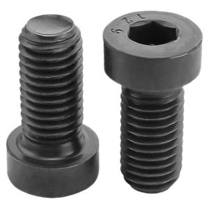 BAIRUITE | Thin Head High Strength Hex Socket Screw M4-M16