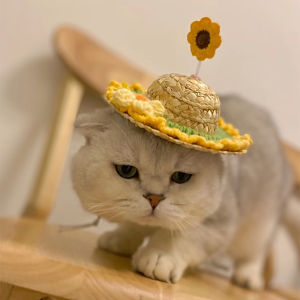 หมวกปีกกว้างสีเงินทองสำหรับแมวและหมา หมวกปีกกว้างสำหรับสุนัข เวอร์ชั่นฤดูร้อน เครื่องประดับผมถัก ตกแต่งสัตว์เลี้ยง