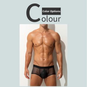 AEEEYEEE | Ice Silk Seamless Lightweight Transparent Briefs