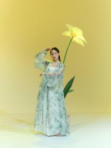 Original SOSO Jia Retro Bamboo Elements Hanfu Ancient Style Jazz Dance Costume New Chinese Style Dance Shirt for Women