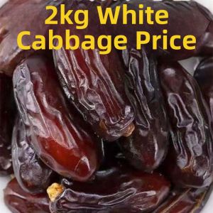 Top Grade Large Dates International Sources Natural
