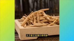 太子参 Heterophylly Falsestarwort Root 补虚安神，健脾祛湿的功效【100g】