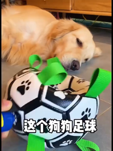 Dog Toy Ball - Border Collie-Specific Bite-Resistant Teeth-Cleaning Outdoor Training Self-Amusement Dog Soccer Ball