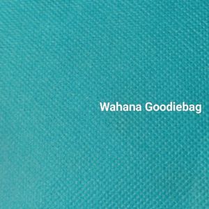 (isi 12pcs)Goodiebag Hampres Murah 25x35 Tas belanja/Tote bag /Tas Spundbond Kain 55Gsm