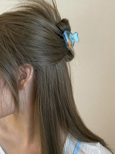 Creative Cute Small Goldfish Shark Clip Half up Summer Hair Clip Busan Stylish Accessory for Women Girls Fashionable Hairpin