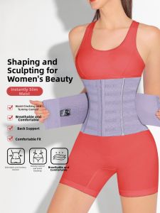 MISTHIN | Summer Breathable Shaping Waist Belt Anticrease