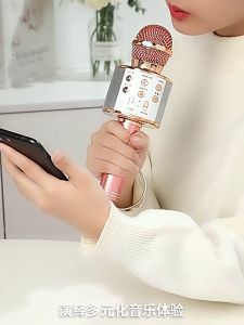 Microphone Karaoke Wireless Bluetooth WS-858 Mic Smule WSTER WS-858