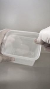 THINWALL KOTAK PERSEGI 300ML WADAH MAKANAN PLASTIK PLUS TUTUP BENING DM (25 PCS)