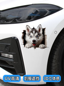 3D Sticker Cartoon Dog Personalized Creative Car Body Decoration Sticker for Electric Vehicle Bumper Scratch Cover Waterproof