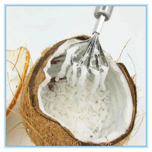 Creative Stainless Steel Shredded Coconut Scraper Home Coconut Grater Scraping Coconut Meat Scraper Fish Fruit Planing