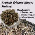 krupuk Tripang/Blonyo Matang Khas Sidayu Gresik (kemasan 1kg). 