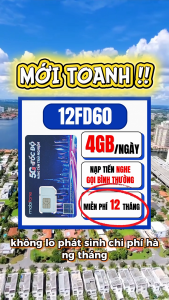 Sim Mobifone 4G 12FD60 Sẵn 12 Tháng Sử Dụng Miễn Phí Có 4GB Tốc Độ Cao Mỗi Ngày (120GB/Tháng) Dùng mạng Tẹt Ga Không Lag | FREESHIP - CHƯA KÍCH HOẠT