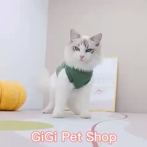Quần áo ba lỗ vải tổ ong thú cưng cho chó mèo thoáng mát hình gấu dễ thương cute phụ kiện giá rẻ - Gi Gi Pet Shop