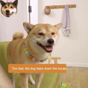 Pet Adjustable Safety Gate For Dogs Safety Gate For Pets Baby Safety Gate For Baby Pet Gate Install Anywhere Safety