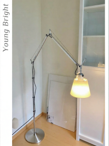 Designer Medium Swing Arm Floor Lamp