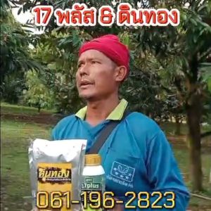 17 Plus 17 พลัส ชุดสะสมอาหาร เพื่อให้ใบใหญ่ ใบหนา ใบใหญ่ สังเคราะห์แสงไปเลี้ยงลำต้น ดอกและผลให้สมบูรณ์