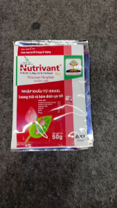 Phân Bón Lá Nutrivant Rice 50g 0-46-30+Mg+B – Già Lá Phân Hóa Mầm Hoa Chống Rụng Trái Đậu Trái Mạnh