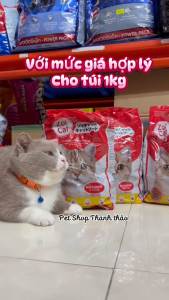 BÀN CÀO MÓNG LÒNG CHẢO - TẶNG KÈM CATNIP CHO MÈO GIẢM STRESS