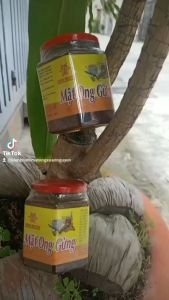 MẬT ONG GỪNG XUÂN NGUYÊN LỌ THỦY TINH 360ML