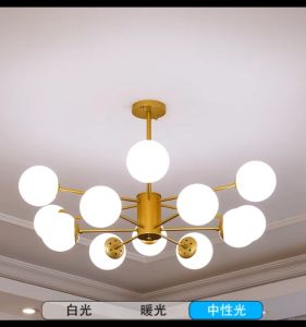 Chandelier Light Modern Design Bedroom Light Modern Chandelier Living Room Light Ceiling Light Center Light