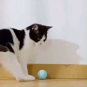 ลูกบอลแมวอัตโนมัติ บอลแมวไฟฟ้า ของเล่นแมว บอลดุ๊กดิ๊ก FY-816