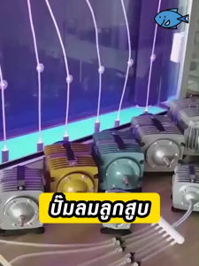 ปั๊มออกซิเจน ทนทาน ปั๊มลมลูกสูบ ACO-318 45W ACO-208/308/318 AirPump ปั๊มออกซิเจน ปั๊มลมลูกสูบ เครื่องเติมอากาศ ออกซิเจนตู้ปลา ออกซิเจนกุ้ง ปั๊มบ่อปลา ปั๊มตูู้ปลา สำหรับ