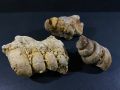 Fosil keong ulir kristal B86 atau fosil kerang temuan atau fosil gastropoda atau batu fossil alam. 