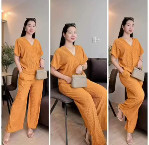 Sena  V neck Shorts Sleeves Top and Pants Set Terno   Coordinates