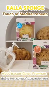 KALLA SPONGE ฟองน้ำธรรมชาติ ชนิด Fine Silk สีน้ำตาล สำหรับอาบน้ำด้วยการชนิดและสี นิยมใช้กับเด็กทารก ร้านจะเลือกก้อนนุ่มๆให้ค่ะ