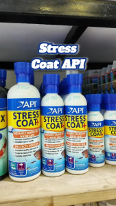 API Stress Coat | Dung Dịch Khử Clo Loại Bỏ Kim Loại Nặng Và Dưỡng Cá Cảnh Khỏe Mạnh