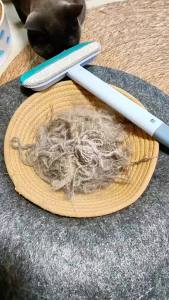 ที่กำจัดขนสัตว์เลี้ยง เครื่องขูดขนแมว กำจัดขน เครื่องดูดฝุ่นขนสุนัข เครื่องทำความสะอาดพรมและเตียง