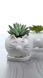 chậu trồng sen đá xương rồng cây mini có đế lỗ thoát nước trang trí để bàn văn phòng làm quà tặng