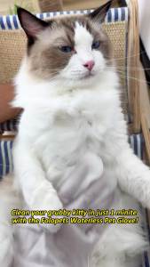 【In Stock】Pet Wash-free Disposable Wet Wipes 8Pcs Pet Cleaning Gloves for Dog and Cat Grooming