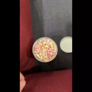 Sugar Glider Mini Marshmallow Snacks 蜜袋鼯迷你棉花糖零食