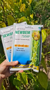 [THIEN THINH SHOP] Trừ bệnh đạo ôn cổ bông lá dưỡng lá đòng NewBem 750WP công ty HAI gói 100gram
