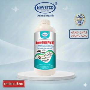 Navet-Beta Pro 50_ Tăng cườngmiễn dịch - Tăng sức đề kháng. Bổ sung dưỡng chất phục hồi gan-thận - Tăng khả năng hấp thu. (Thủy sản Tôm Cá Lươn Ếch)