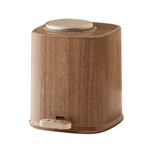 SHELI | Retro Luxury Step-on Trash Bin Dual Opening