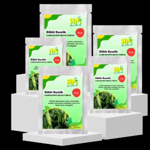 Benih/Bibit Cabe Rawit Hijau Lokal 5gr & 10gr isi (-+1000 & -+2000) biji/butir benih Berkualitas Cabai Cengek gunung cabe kampung ijo Merunduk Bangkok Super Lebat GENIE Ramos Merah putih keriting tegak japlak caplak seed Kriting