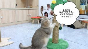 CoralCoveเชือกแมว ที่ลับเล็บแมว เชือกปอมะนิลา เชือกปอ เชือกใยยักษ์ ของเล่นแมว เชือกแมวข่วน ชือกน้ำตาล เชือกกระสอบ ขนาด 2มิล 4มิล 6มิล 10มิล